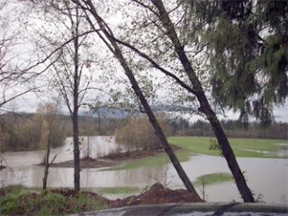 The Haller and Twin Rivers parks were both closed at 11 a.m. on Nov. 12