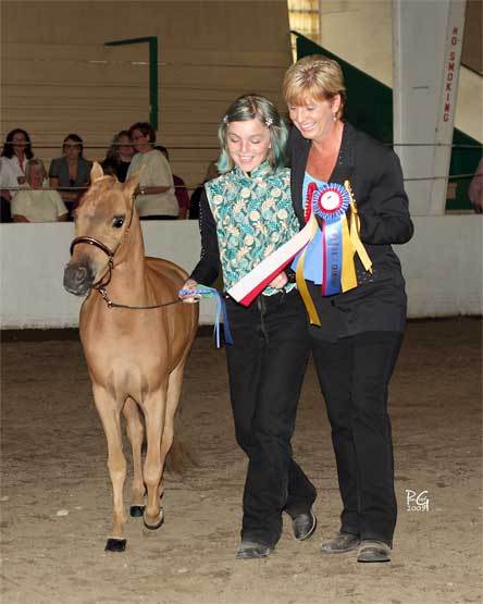 Arlington resident Betsy Hamley walks with her daughter and miniature gelding