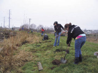 Fifty-five volunteers from the Monroe High School Environmental Club and Snohomish County Veterans Conservation Corps plant 150 native trees along the lagoon at Union Slough recently. The work party coordinated by the People For Puget Sound partnering with the Port of Everett helped prepare the former Biringer Farm property for flooding to restore the estuary to its natural purpose. Now the owner of the farm