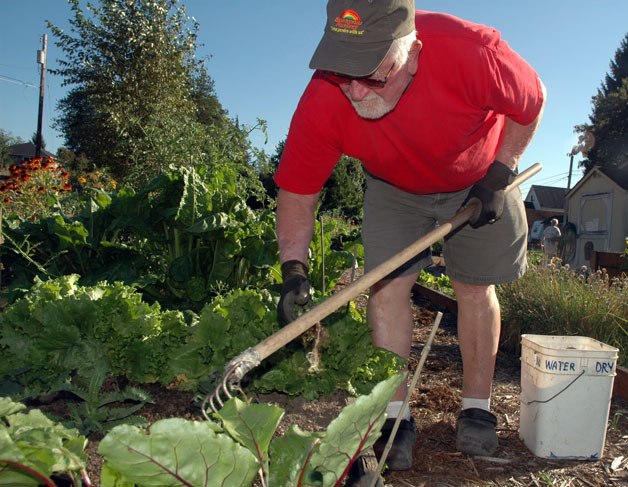 Jack Lybyer tends his plot at the Arlington Garden Club’s community gardens