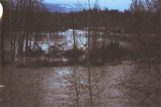 The Stillaguamish River invades Twin Rivers Park and closes SR 530 at the northeast edge of Arlington 8 a.m. Thursday