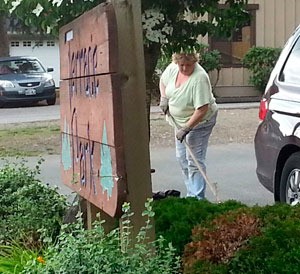 Karen Tendering pitches in with her fellow Arlington Lions Club members to spruce up Terrace Park on June 26.