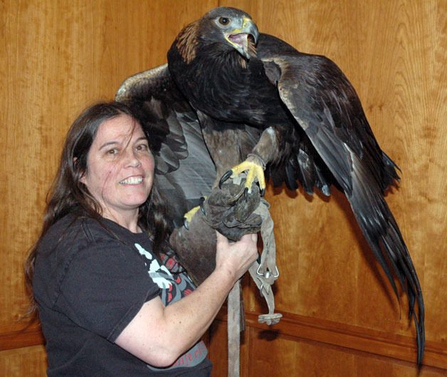 Kestrel SkyHawk of the Sarvey Wildlife Center shows off Hu Iwake