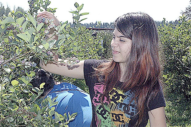 Arlington's Elicia Kirk is a regular attendee of the Bryant Blueberry Festival