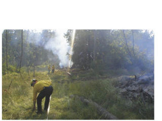 North County Fire/EMS responded to an approximately five-acre area wild land fire in the 29200 block of 68th Ave NW in the late afternoon on June 29.  First units on scene reported a fast moving fire in a heavily wooded area with some potential exposures to homes over time.  Over 15 Firefighters responded from North County Fire/EMS with two brush trucks