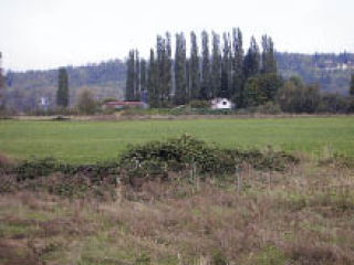 The pastoral view of the Stillaguamish River Valley from I-5 may change as Dwayne Lane’s 15-year effort to build a car dealership there won in the state supreme court.