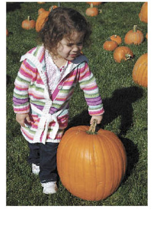 Olivia Sizer picks out a pumpkin at the Plant Farm for a second year in a row Oct. 11.