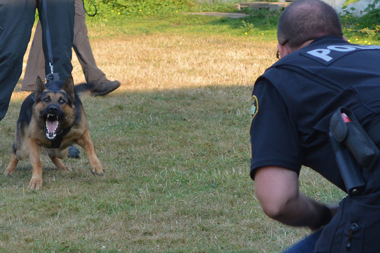 Police show friendly side to connect with neighborhoods (slide show)