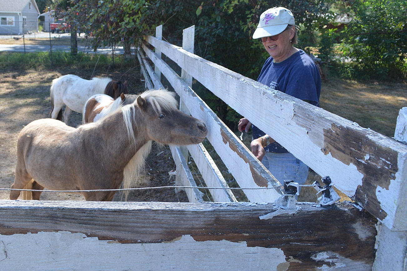 Now Rez-Q does have a white-picket fence