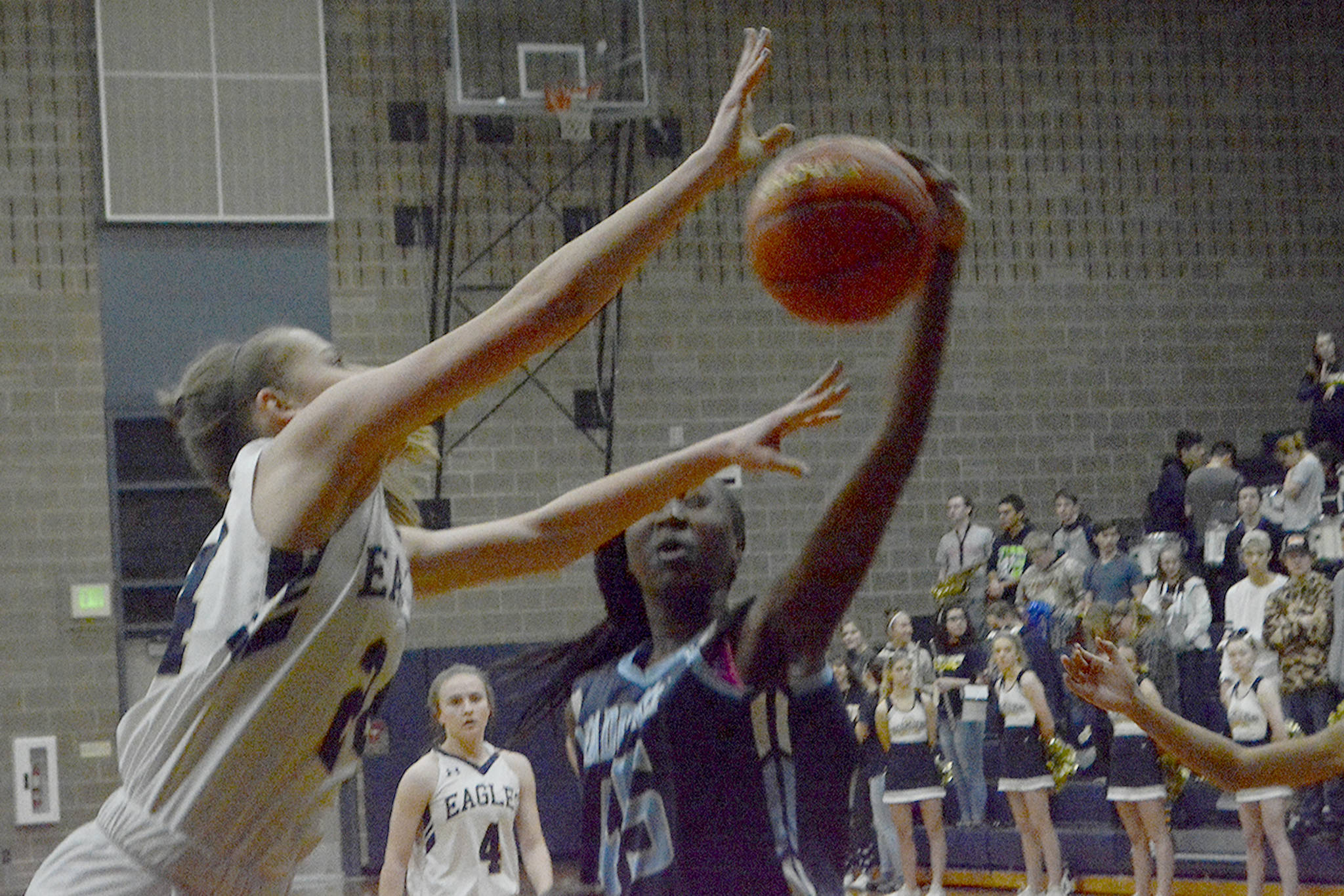 Arlington girls win elimination game, move on in playoffs (slide show)