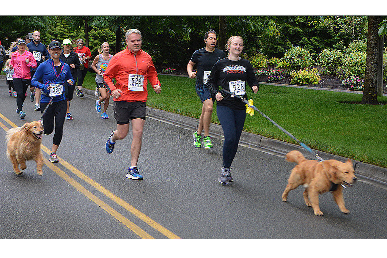 Berry Run gets Marysville Strawberry Festival off to a fast start (slide show)