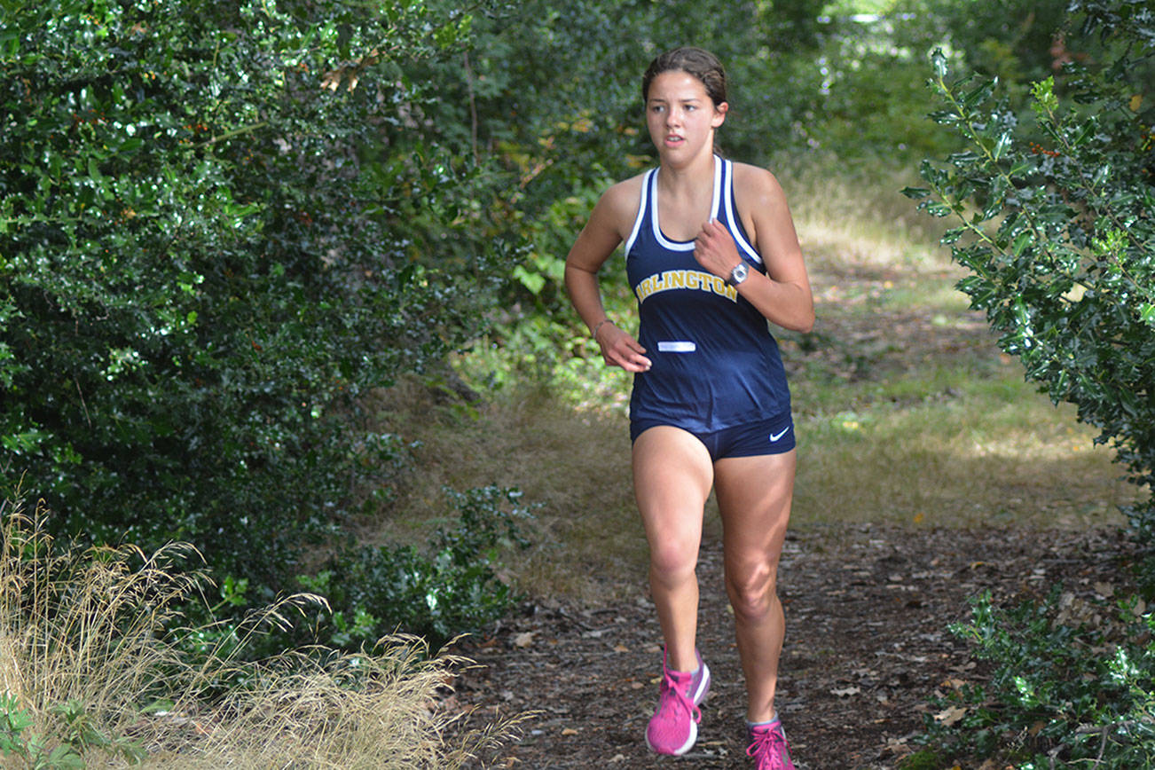 Arlington, M-P runners stand out at cross country meet (slide show)